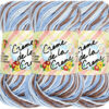 Benang Rajut Red Heart Creme De La Creme - Earth and Sky